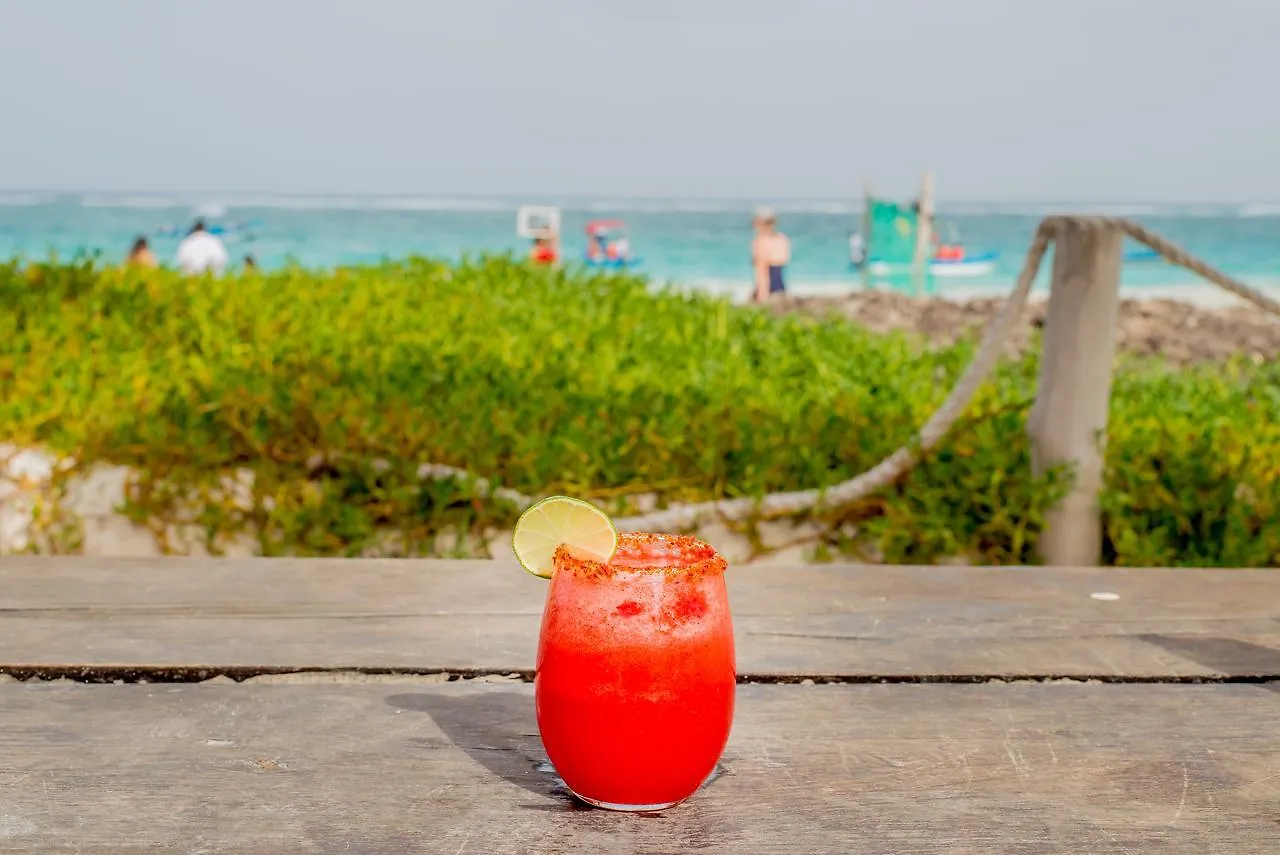 Luxury tent Camping Revolucion Pancho Villa Tulum