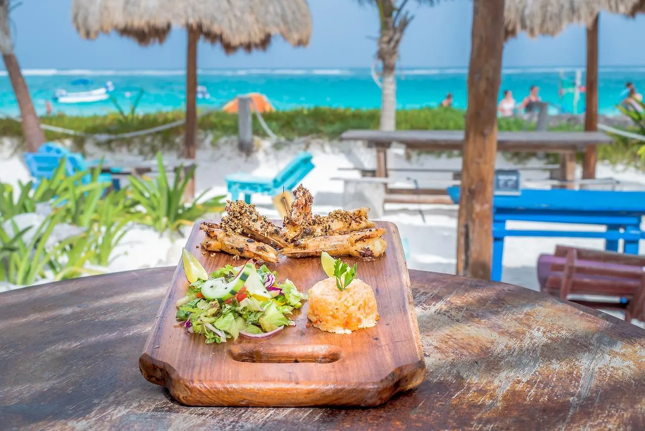 Luxury tent Camping Revolucion Pancho Villa Tulum